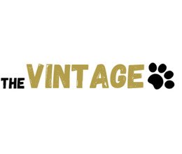 thevintagepaws